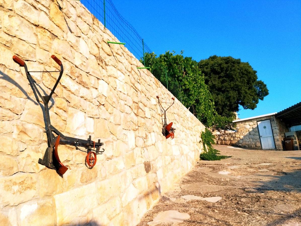 Villa Sanja, Splitska Exteriér fotografie